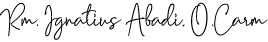 Sign Romo2